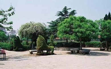 古今园旅游攻略_门票_地址_游记点评,菏泽旅游景点