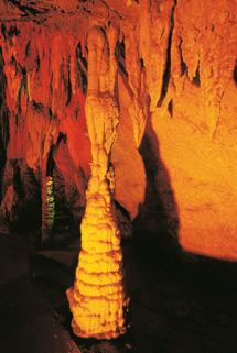 仙鹤洞旅游攻略_门票_地址_游记点评,广安旅游景点