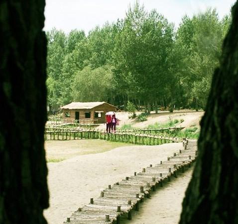 沙地植物园旅游攻略_门票_地址_游记点评,榆林旅游