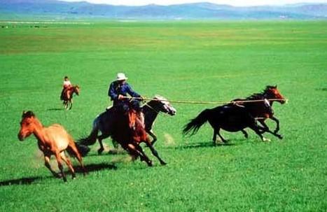 格根塔拉草原旅游景点图片