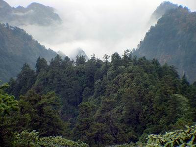 九峰山_旅游攻略_门票_地址_游记点评,南平旅游景点