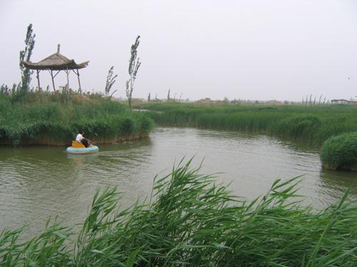 镜湖生态旅游区旅游攻略_门票_地址_游记点评,巴彦淖尔旅游景点推荐